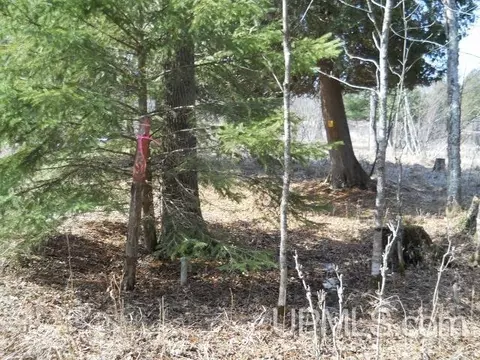 tbd V, Rapid River, MI 49878 photo 8