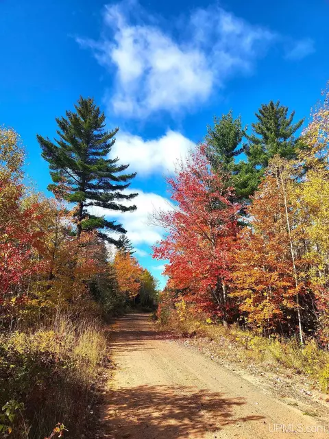 tbd Co Rd Eebpohlman, Gwinn, MI 49841