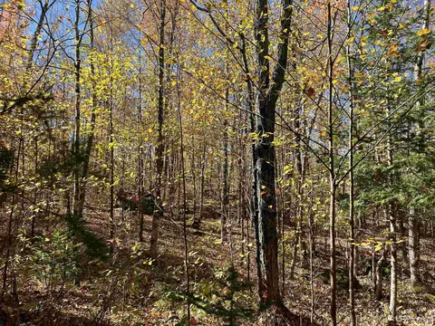 699 Cth U, Florence T-wi, WI 54121