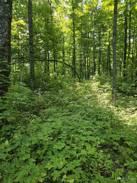 Unit 9 Redridge Creek, Atlantic Mine, MI 49905