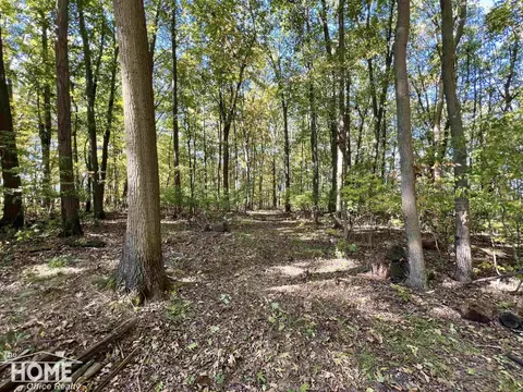 Other - 10246 Scribner, Bancroft, MI 48414 photo 32 of 34