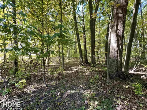 Other - 10246 Scribner, Bancroft, MI 48414 photo 30 of 34