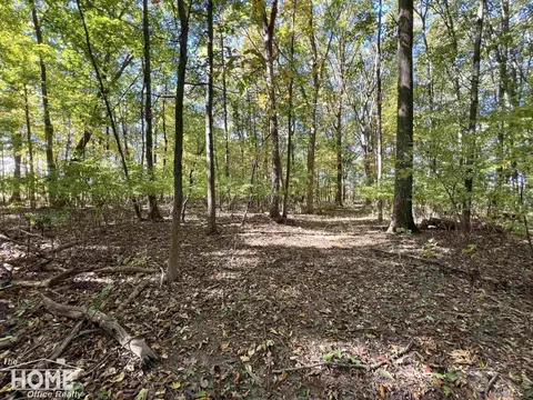 Other - 10246 Scribner, Bancroft, MI 48414 photo 33 of 34