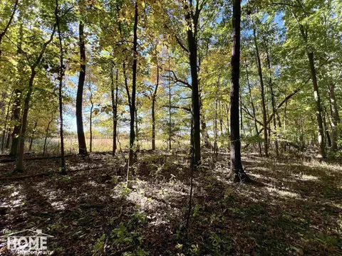 Exterior - 10246 Scribner, Bancroft, MI 48414 photo 21 of 27