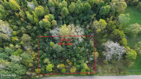 V/l Washington, Mount Morris, MI 48458