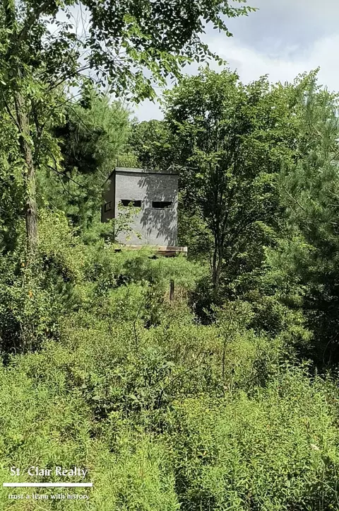 0 Parks, Goodells, MI 48027 photo 3