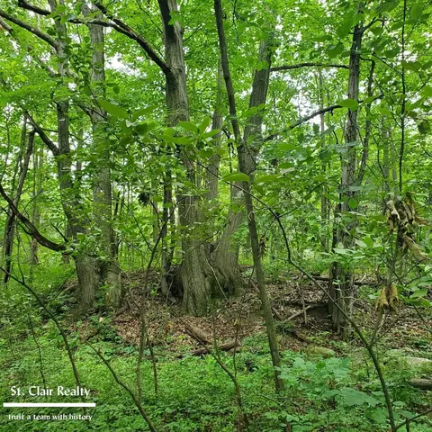 0 Parks, Goodells, MI 48027 photo 5