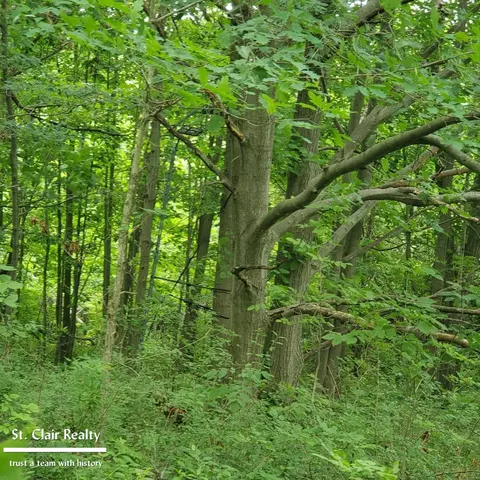 0 Parks, Goodells, MI 48027 photo 4