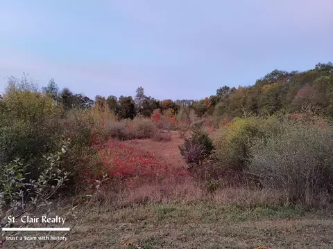 0 Parks, Goodells, MI 48027 photo 2