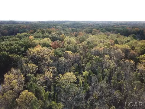 12000 Coller Blk, Tipton, MI 49287