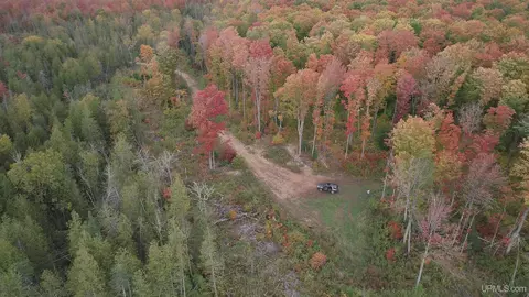 120 Acres Off County Road 327, Rumely, MI 49826