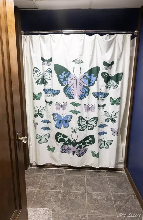 Bath - 408 N Maple, Ishpeming, MI 49849 photo 1 of 3
