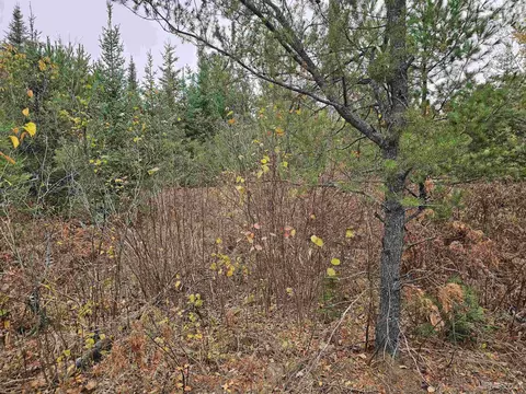 Other - 14851 Co Rd Cs, Ishpeming, MI 49849 photo 25 of 26