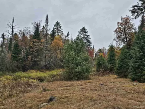 Exterior - 14851 Co Rd Cs, Ishpeming, MI 49849 photo 14 of 16