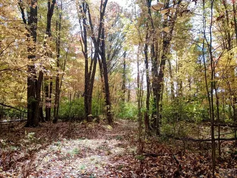 20 E Acres E Sun Oil, Gladwin, MI 48624 photo 24