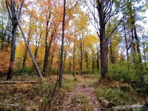 20 E Acres E Sun Oil, Gladwin, MI 48624 photo 22