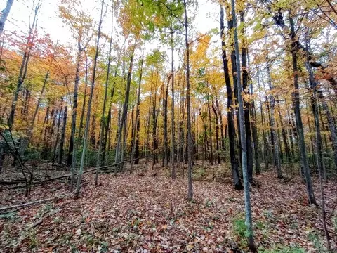 20 E Acres E Sun Oil, Gladwin, MI 48624 photo 8