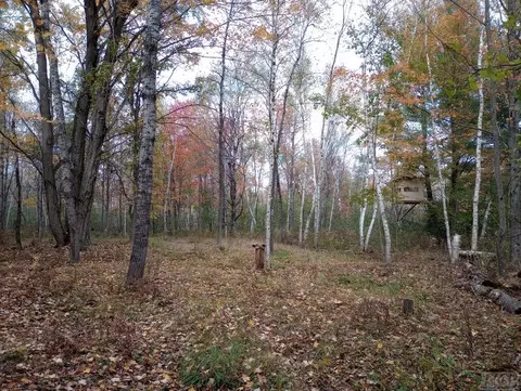 20 E Acres E Sun Oil, Gladwin, MI 48624 photo 5