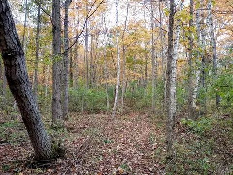 20 E Acres E Sun Oil, Gladwin, MI 48624 photo 6