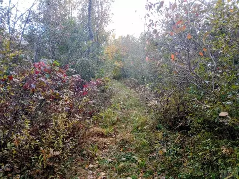 20 E Acres E Sun Oil, Gladwin, MI 48624 photo 13