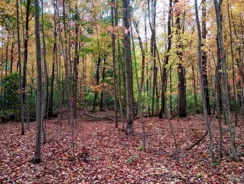 20 E Acres E Sun Oil, Gladwin, MI 48624 photo 7