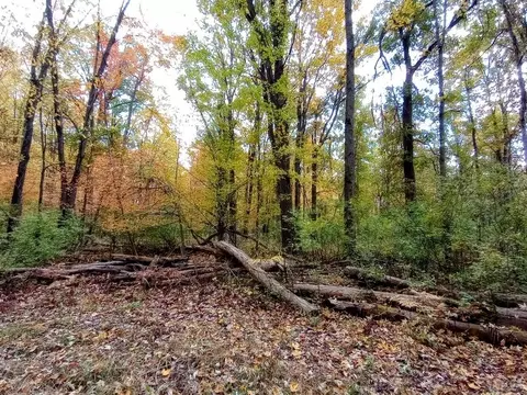 20 E Acres E Sun Oil, Gladwin, MI 48624 photo 21