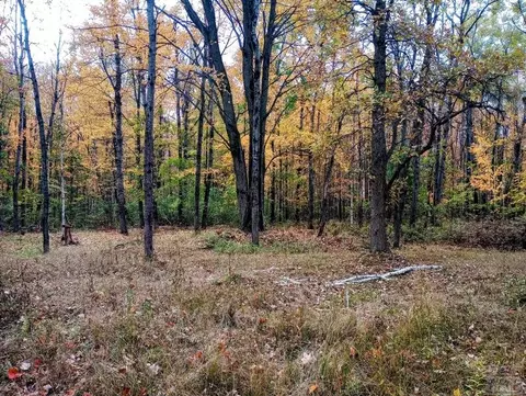 20 E Acres E Sun Oil, Gladwin, MI 48624 photo 9