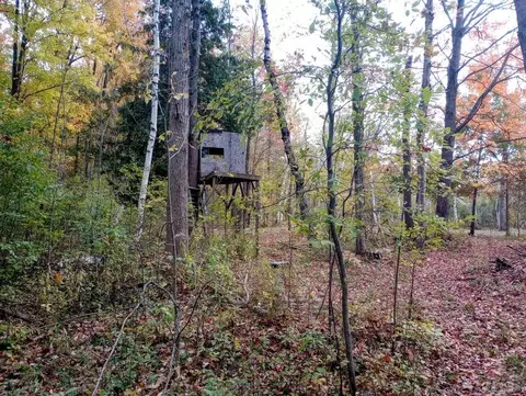 20 E Acres E Sun Oil, Gladwin, MI 48624 photo 18