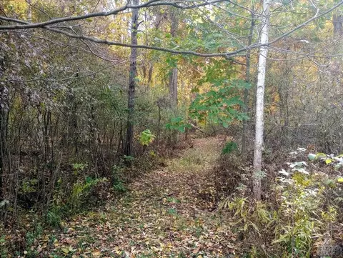 20 E Acres E Sun Oil, Gladwin, MI 48624 photo 27