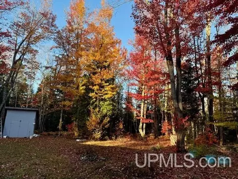 Exterior - 9911 N M94, Shingleton, MI 49854 photo 9 of 9