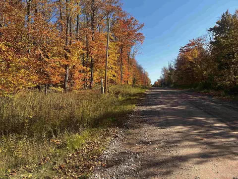 40 Acres Yalmer, Skandia, MI 49885