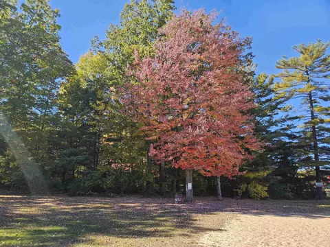 Other - 4886 Maplewood, Harrison, MI 48625 photo 9 of 12
