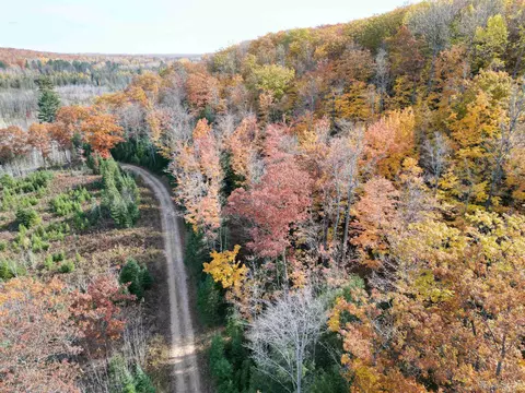 tbd Gustafson Rd 40, Vulcan, MI 49892