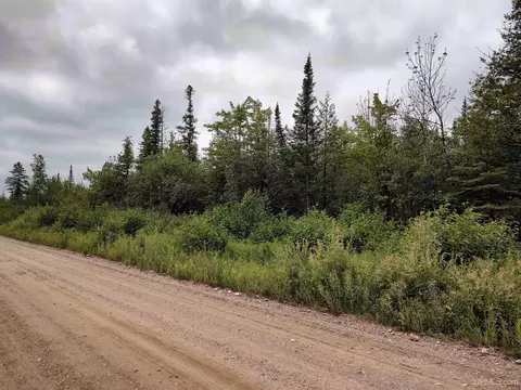80 Acres Sec 21 Co Rd N415, Mcmillan, MI 49853