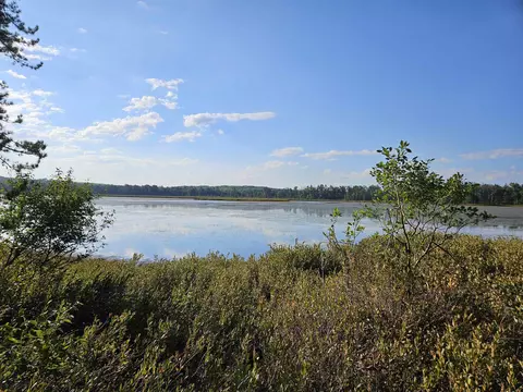 View/Area - 503 Elder, Harrison, MI 48625 photo 1 of 3