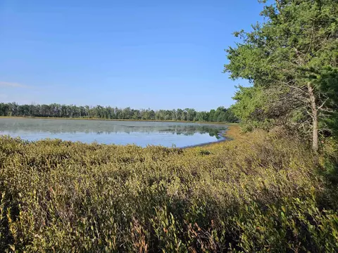 View/Area - 503 Elder, Harrison, MI 48625 photo 3 of 3