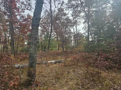Exterior - 503 Elder, Harrison, MI 48625 photo 17 of 35