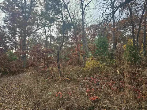Exterior - 503 Elder, Harrison, MI 48625 photo 14 of 35