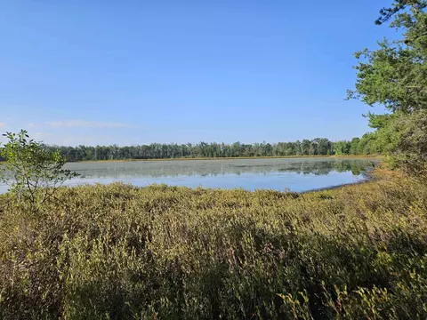 View/Area - 503 Elder, Harrison, MI 48625 photo 2 of 3