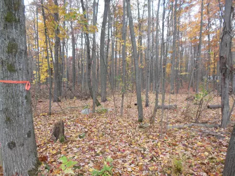 2035 Whitetail, Harrison, MI 48625 photo 5