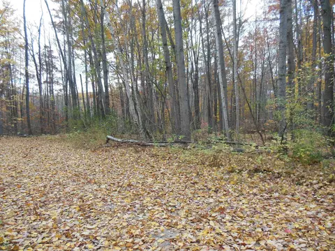 2035 Whitetail, Harrison, MI 48625 photo 7