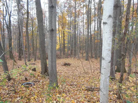 2035 Whitetail, Harrison, MI 48625 photo 6