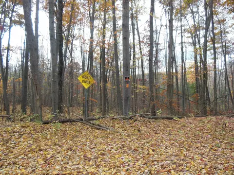 2035 Whitetail, Harrison, MI 48625 photo 2