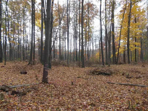 2035 Whitetail, Harrison, MI 48625 photo 9