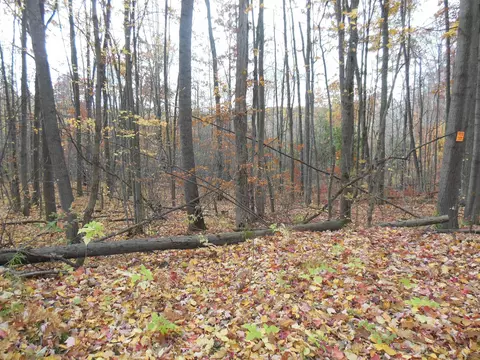 2035 Whitetail, Harrison, MI 48625 photo 3