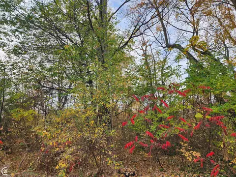 0 Mill, Allenton, MI 48002 photo 2
