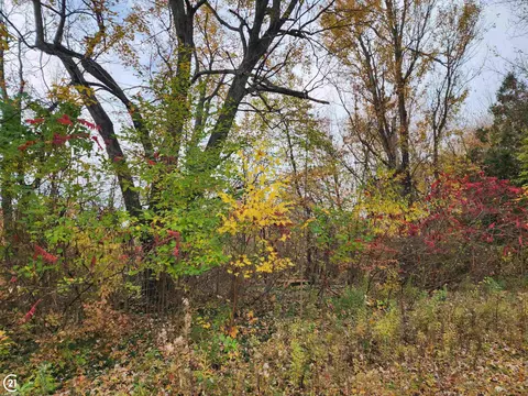 0 Mill, Allenton, MI 48002 photo 8