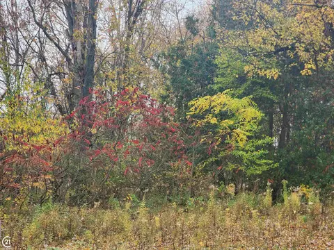 0 Mill, Allenton, MI 48002 photo 3
