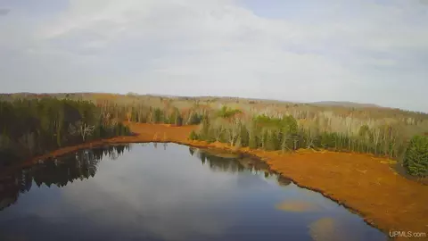 34488 Bergland, Bergland, MI 49947