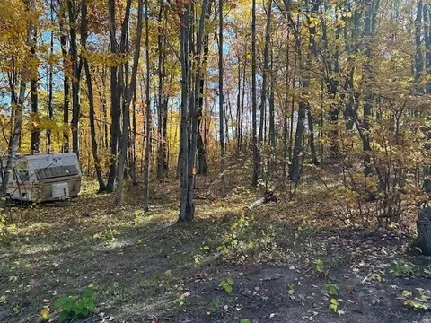 Vl Lapham, Harrison, MI 48625